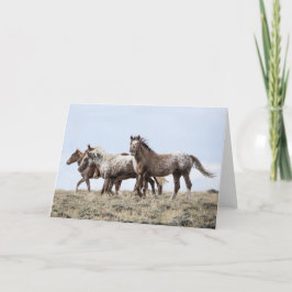 No cume: Cartão de saudação galopante para a liber