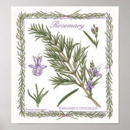 No Jardim ~ Rosemary Poster