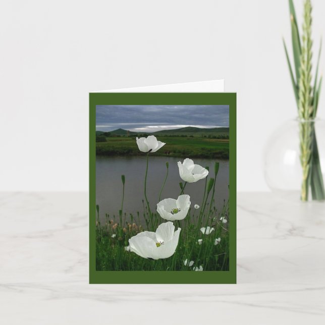 NO NOSSO CARTÃO "EUA" DE CELEBRAÇÃO DO VAMOS *ANNI (Frente)