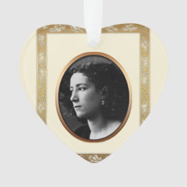 No ornamento memorável 1 da foto feita sob