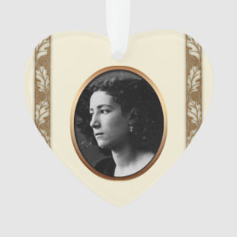 No ornamento memorável 2 da foto feita sob