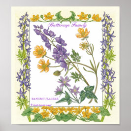 No Poster da Família Jardim ~ ButterCup