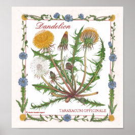No Poster do Jardim ~ Dandelion