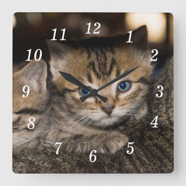 No Relógio de Parede Traseira da Mamãe (Frente)