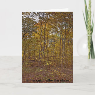 No silêncio após o cartão de simpatia da