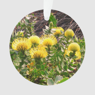 Nodding Pincushion Amarelo Pássaro #1 Ornamento