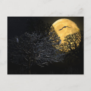 Noite Assustadora de Halloween com Cartão Postal d
