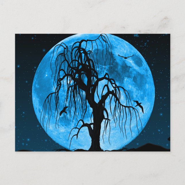 Noite Assustadora de Halloween com Cartão Postal d (Frente)