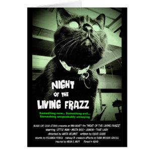 "Noite do Frazz vivo!" Cartão de nota do gato do