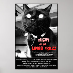 Noite do Frazz vivo! Poster de filme de terror do