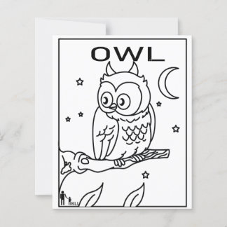 NOITE OWL