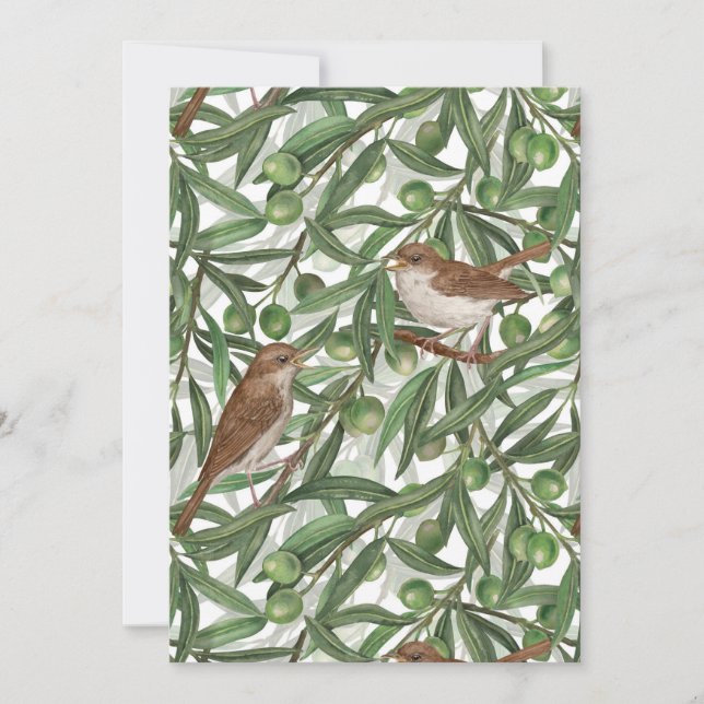 Noites na oliveira (Frente)