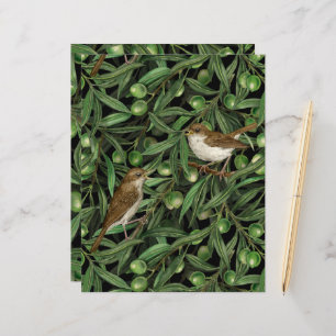 Noites na oliveira 3