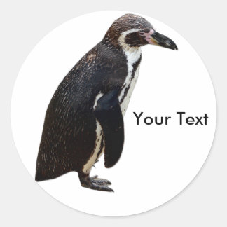 Nome de etiqueta do adesivo pinguim preto-e-branco