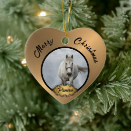 Nome de Foto de Ornamento de Animais de Companhia 