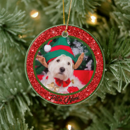 Nome de Foto de Ornamento de Animais de Companhia