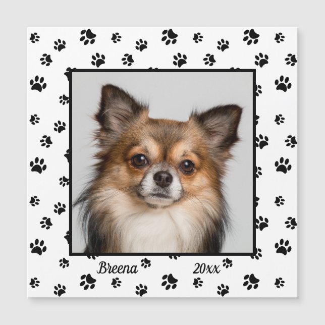 Nome do Cachorro Fofo Ano Foto Ímãs de Pegadas de  (Frente)