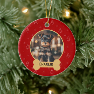 Nome do Cão de Natal Vermelho Enfeite de Natal