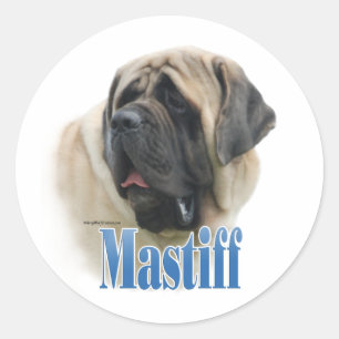 Nome do Mastiff do Fawn - Adesivo