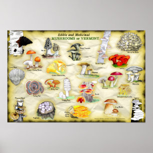 Nomes comuns Poster 18x12 Cogumelos de Vermont