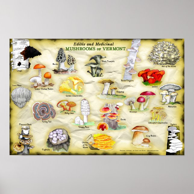 Nomes comuns Poster 18x12 Cogumelos de Vermont (Frente)
