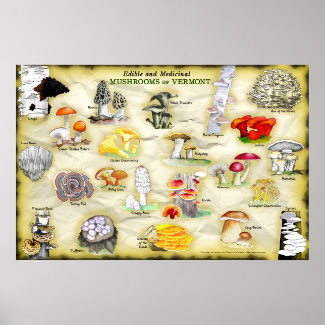 Nomes comuns Poster Mushroom de Vermont (Frente)