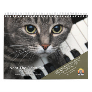 Nora O Calendário De Gatos Piano: Com trechos