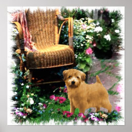 Norfolk Terrier Art Impressão