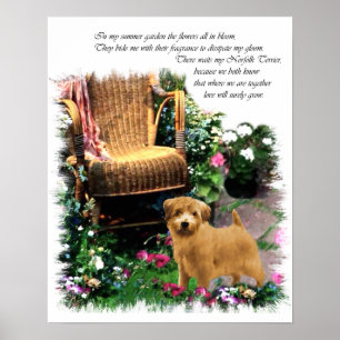 Norfolk Terrier Art Impressão