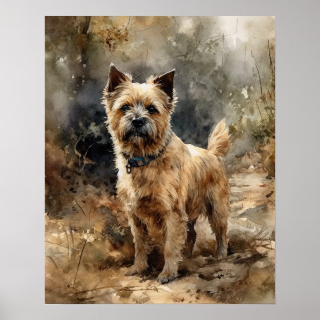 Norfolk Terrier Dog Art Impressão (Frente)