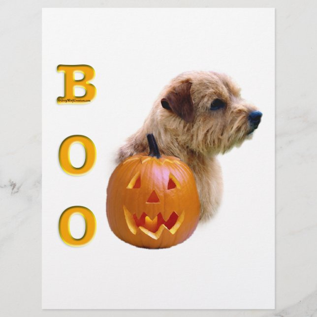 Norfolk Terrier Halloween Boo (Frente)