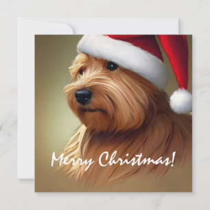 Norfolk Terrier Natal