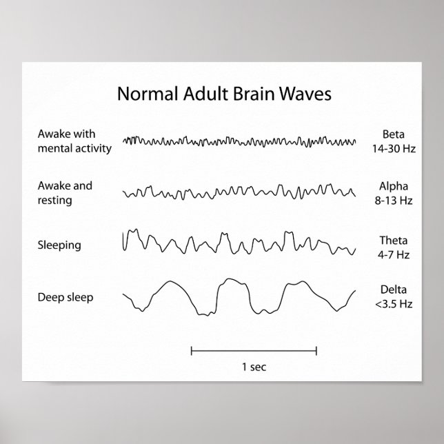 Normal adult brain waves eeg Poster (Frente)