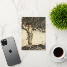 Norse Mythology Wagner Freya a Fair One Rackham