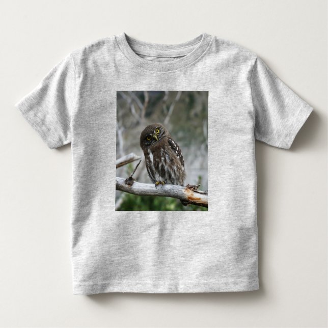 Norte Pygmy Owl Toddler T-Shirt (Frente)