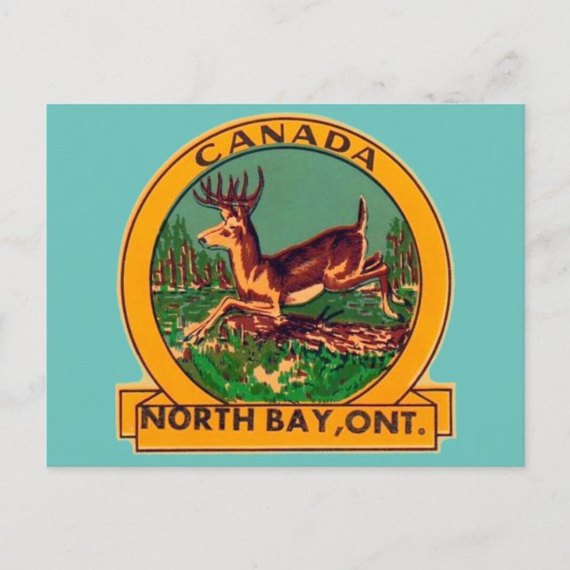 North Bay, Ontário - Cartão postal (Frente)