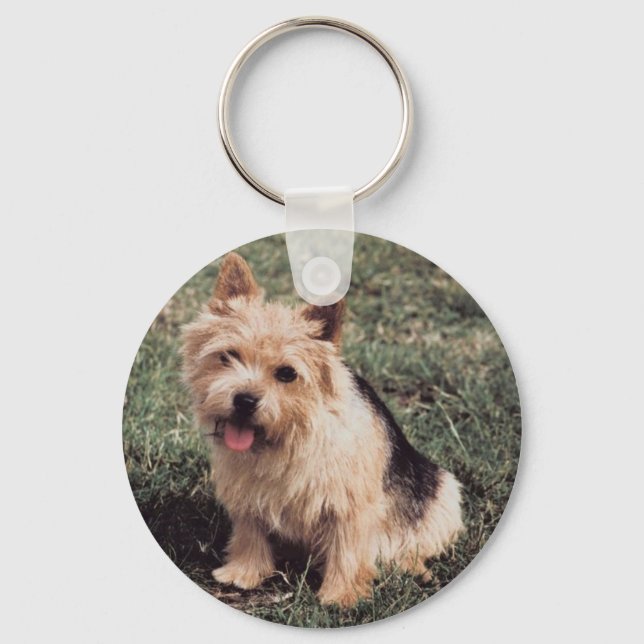 Norwich Terrier Chaveiro (Frente)