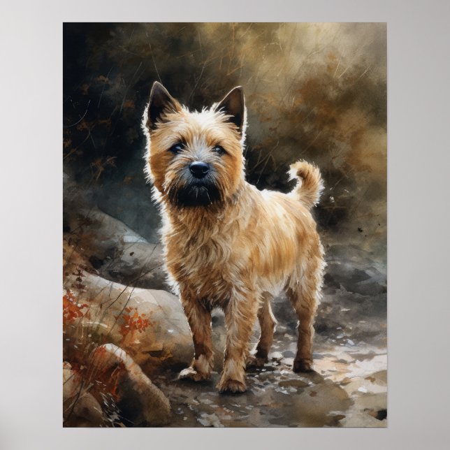 Norwich Terrier Dog Art Impressão Poster (Frente)