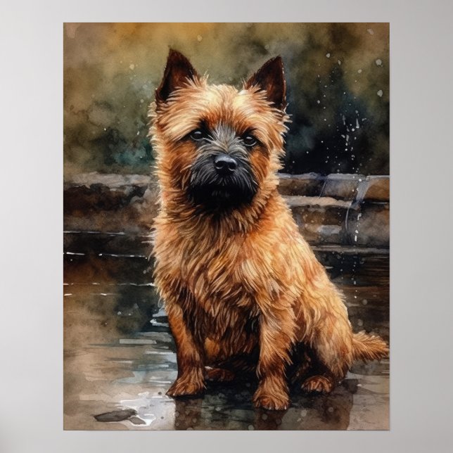 Norwich Terrier Dog Art Impressão Poster (Frente)