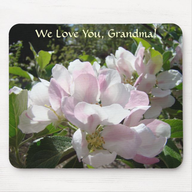 Nós Amamos Você VOVÓ! Mousepad Flores de Maçã (Frente)