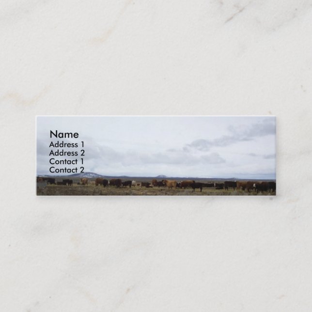 Nos cartões de visitas da escala (Frente)