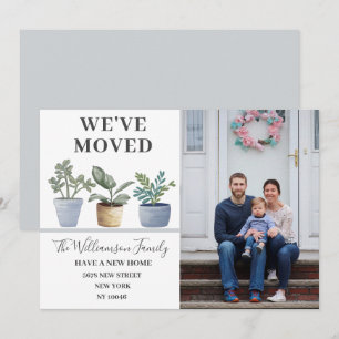 Nós movemos plantas poliméricas com anúncio azul e