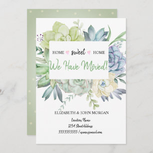 Nós Nos Mudamos, Bolinhas De Suculentos Cactus