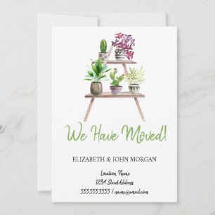 Nós Nos Mudamos, Plantas, Arranjo