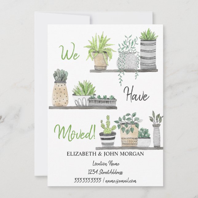 Nós Nos Mudamos, Plantas, Prateleiras (Frente)