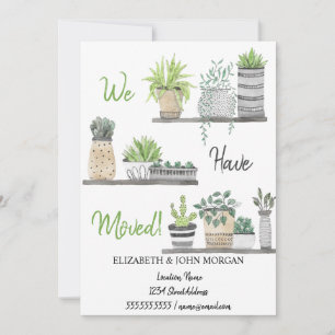 Nós Nos Mudamos, Plantas, Prateleiras