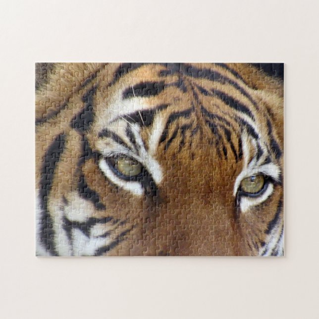 Nos Olhos de um Quebra-cabeça Tigre (Horizontal)