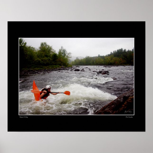 Nosedive Poster (Frente)