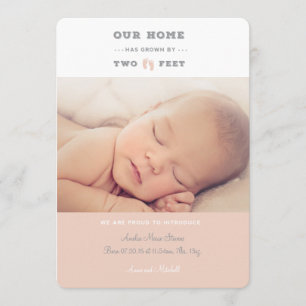 Nossa casa cresceu com um anúncio de dois pés de n