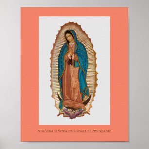 NOSSA SENHORA DE GUADALUPE POSTER